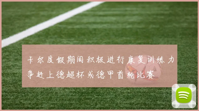 卡尔度假期间积极进行康复训练力争赶上德超杯或德甲首轮比赛