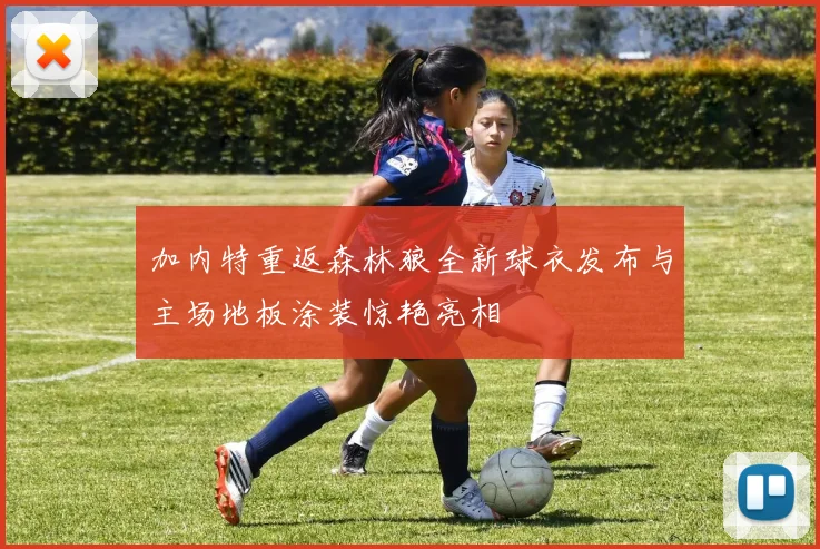 加内特重返森林狼全新球衣发布与主场地板涂装惊艳亮相