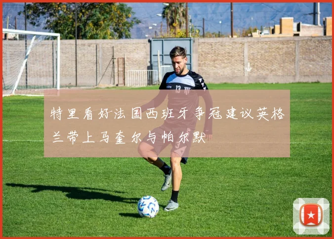 特里看好法国西班牙争冠建议英格兰带上马奎尔与帕尔默